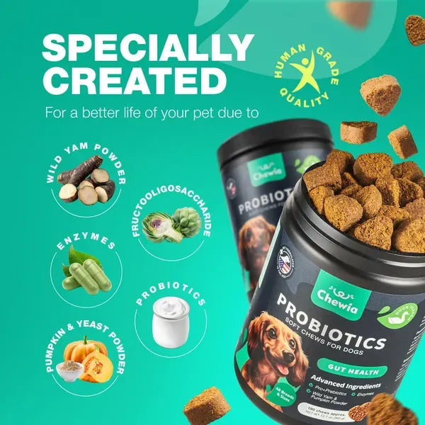 Dog Probiotic Gut Health Chews