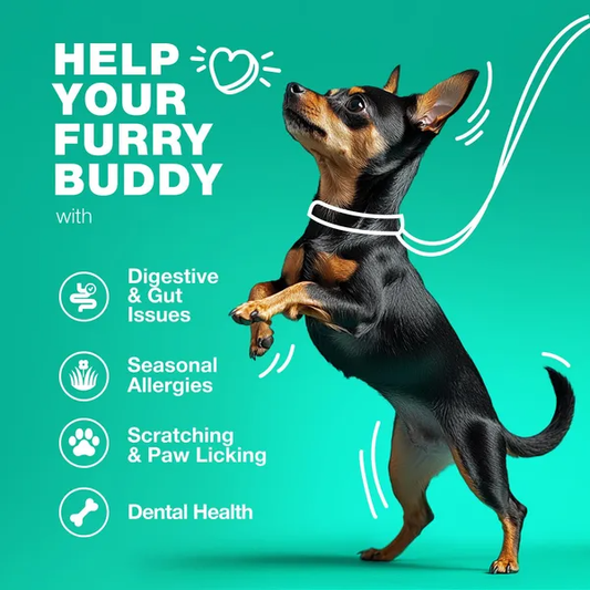 Dog Probiotic Gut Health Chews