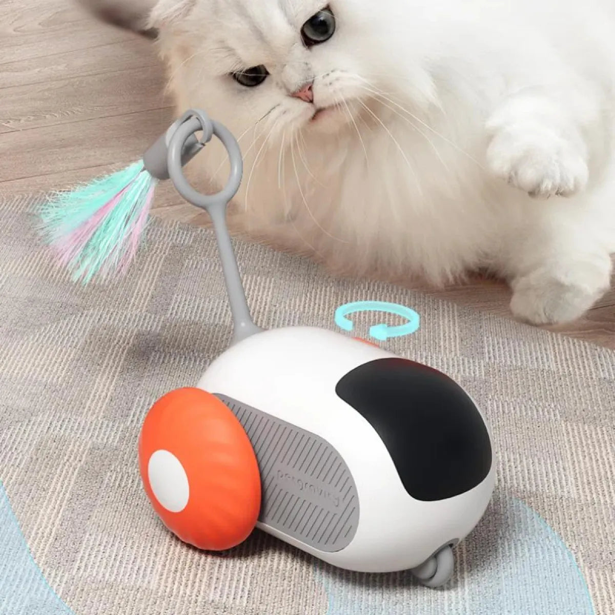 Remote Control Interactive Cat Car