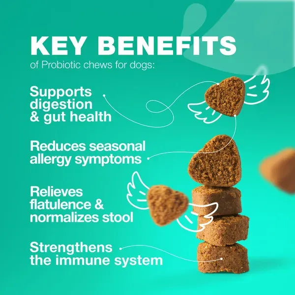 Dog Probiotic Gut Health Chews
