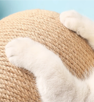 Durable Cat Scratching Post Frame